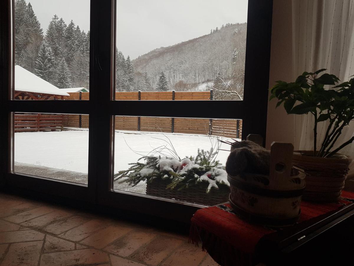 Sura Lu' Vasile. Bed & Breakfast Crivina  Bagian luar foto