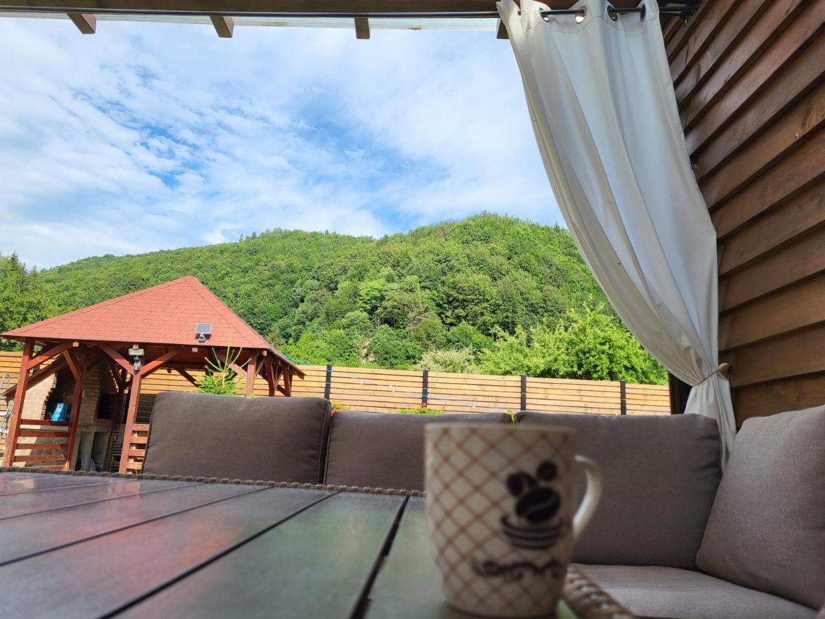 Sura Lu' Vasile. Bed & Breakfast Crivina  Bagian luar foto